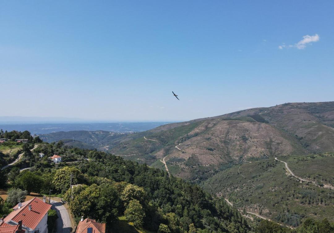 Casa Da Avo Emilia Villa Arganil Buitenkant foto