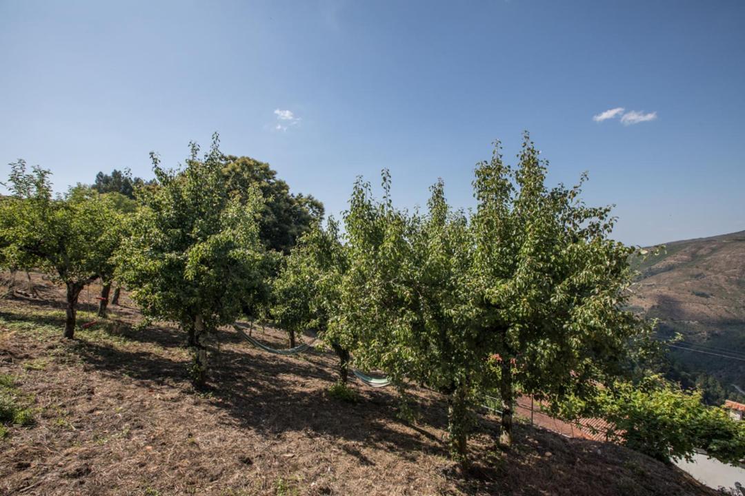 Casa Da Avo Emilia Villa Arganil Buitenkant foto